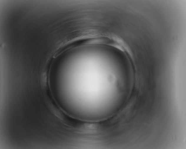 X0000088890057200706151837