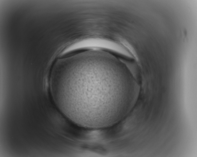 X0000088890059200706151837