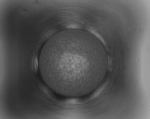 X0000088890061200706151837