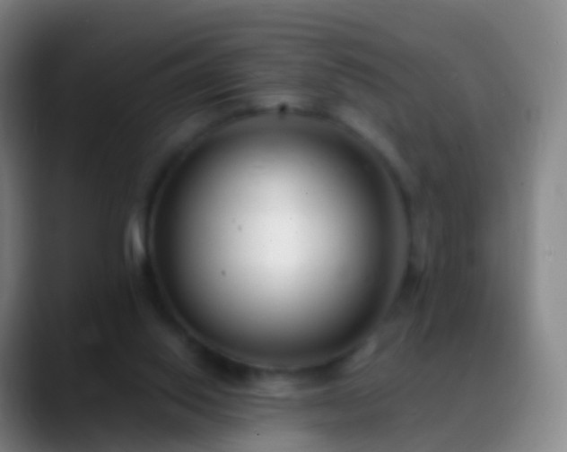 X0000088890062200706151837