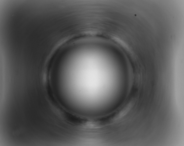 X0000088890064200706151837