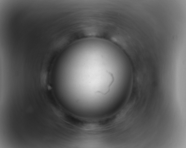 X0000088890066200706151837