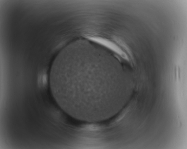 X0000088890067200706151837