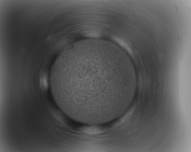 X0000088890069200706151837