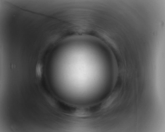 X0000088890070200706151837