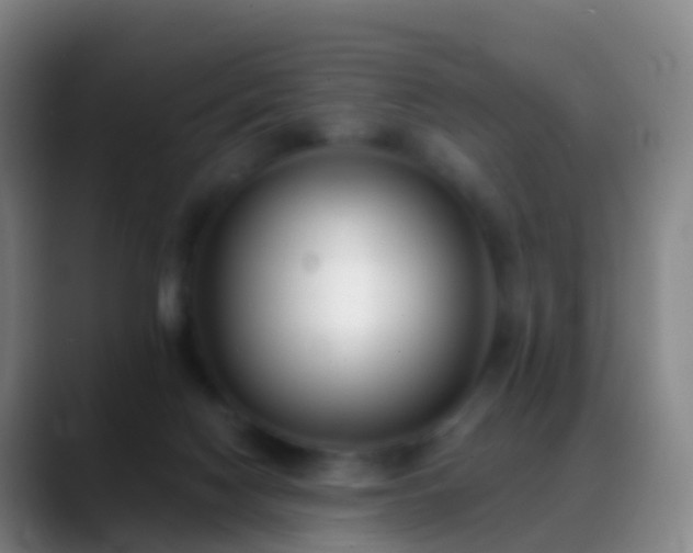 X0000088890074200706151837