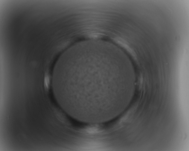 X0000088890076200706151837