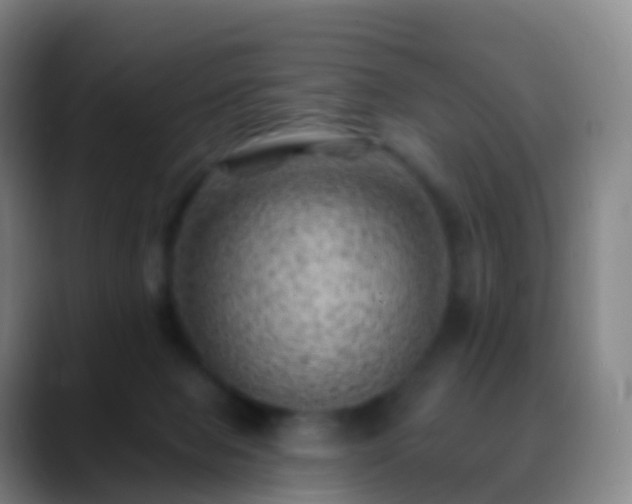 X0000088890077200706151837