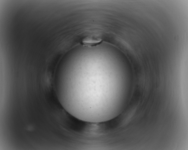 X0000088890083200706151837