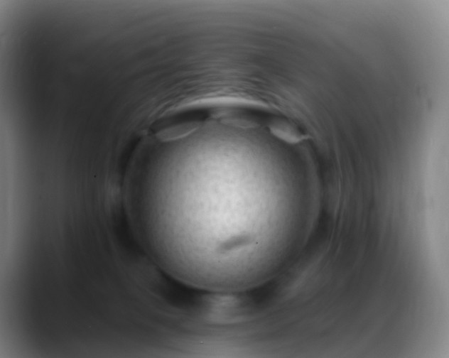 X0000088890085200706151837