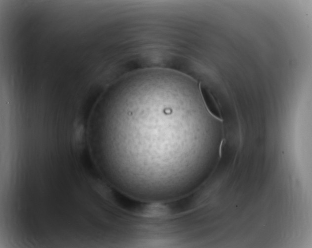 X0000088890087200706151837