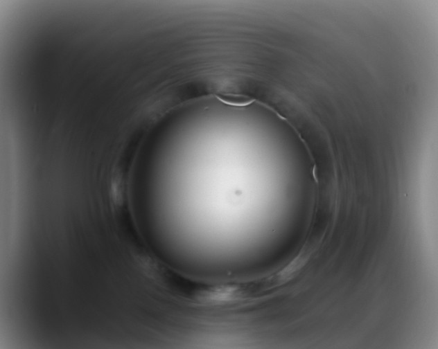 X0000088890090200706151837