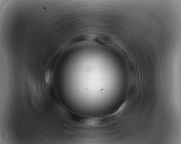 X0000088890094200706151837