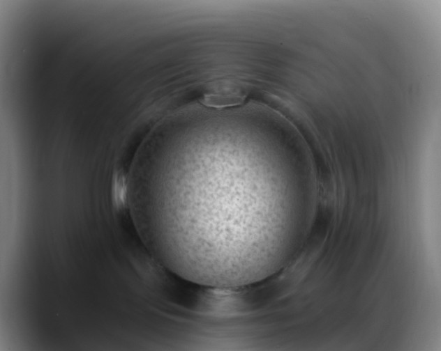 X0000088890095200706151837