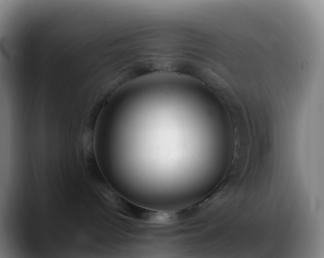 X0000088890096200706151837