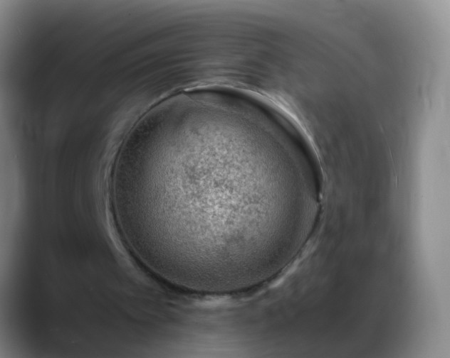 X0000088890097200706151837