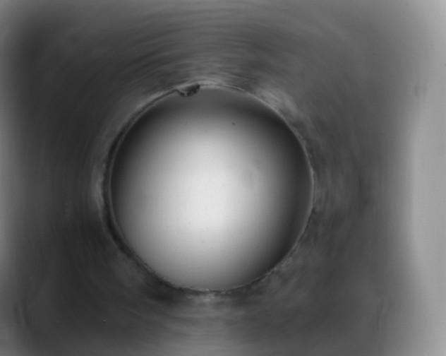 X0000088890098200706151837