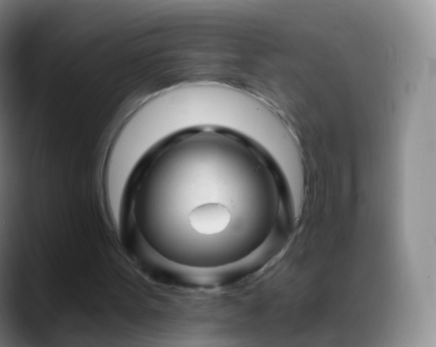 X0000088890099200706151837