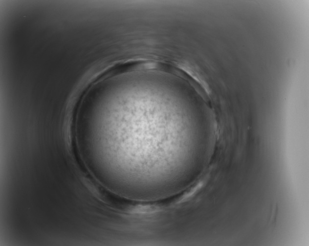 X0000088890101200706151837