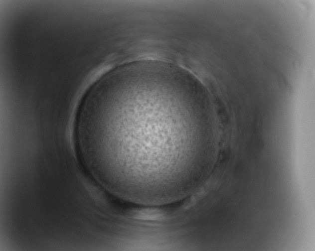 X0000088890104200706151837