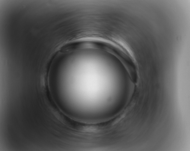 X0000088890105200706151837