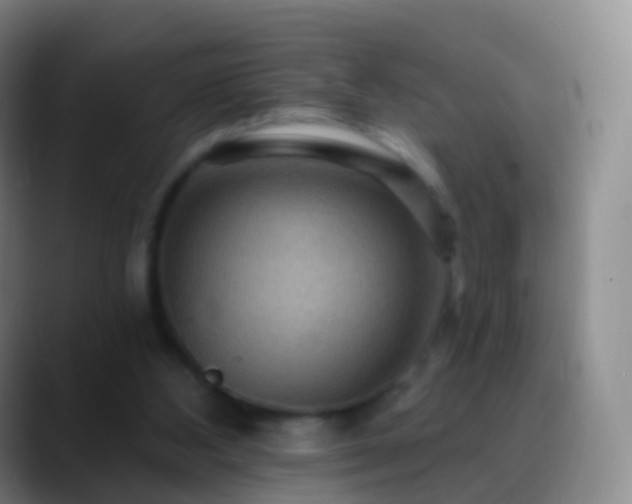 X0000088890108200706151837