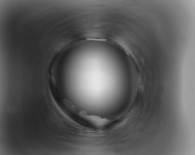 X0000088890109200706151836