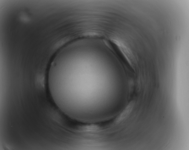 X0000088890112200706151836