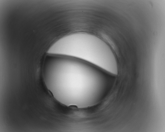 X0000088890113200706151836