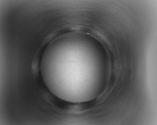 X0000088890116200706151836