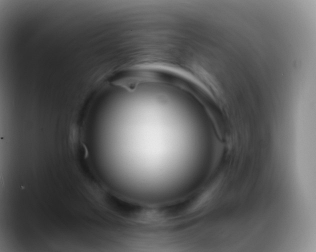 X0000088890117200706151836