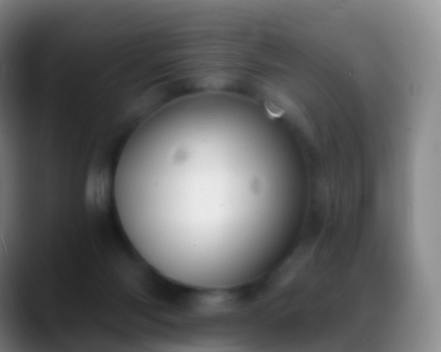 X0000088890118200706151836