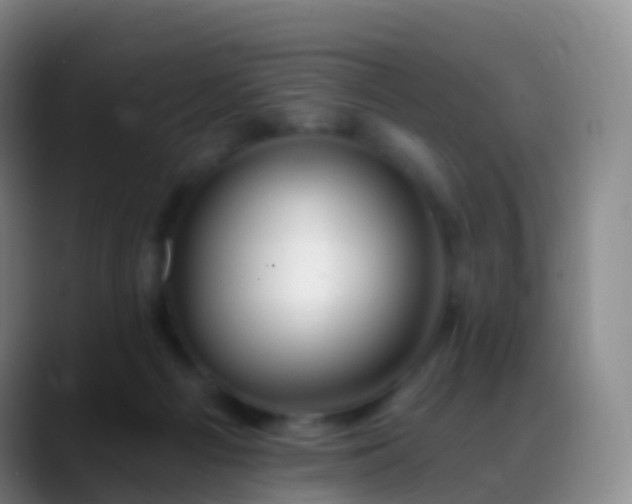 X0000088890121200706151836