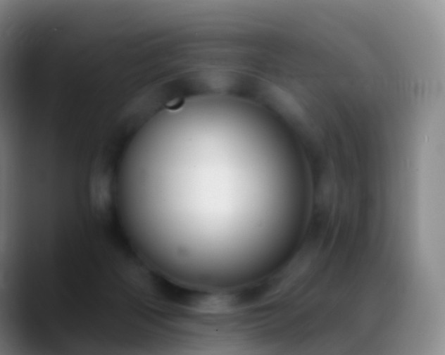 X0000088890122200706151836