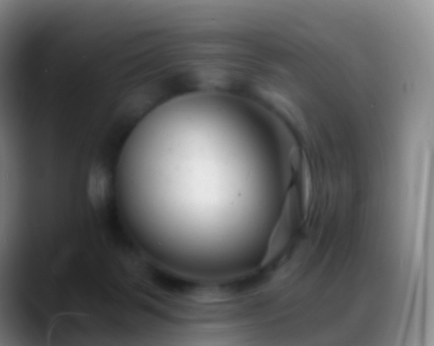 X0000088890123200706151836