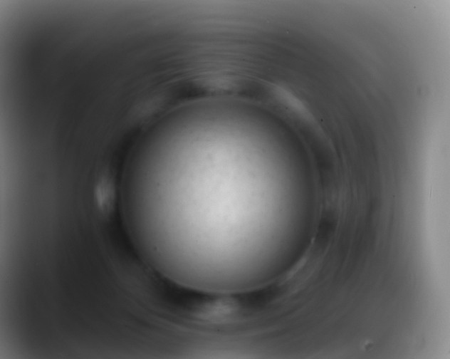 X0000088890124200706151836