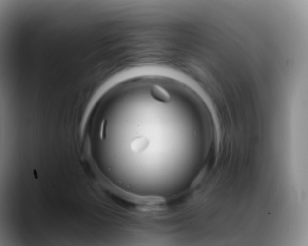 X0000088890125200706151836