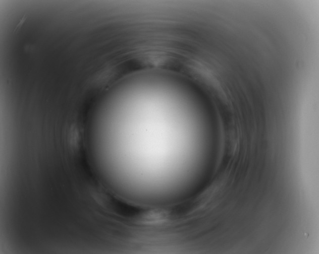 X0000088890126200706151836