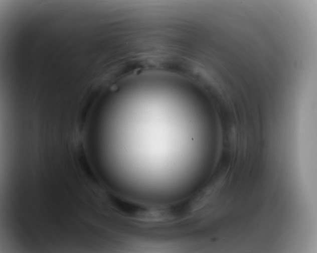 X0000088890129200706151836