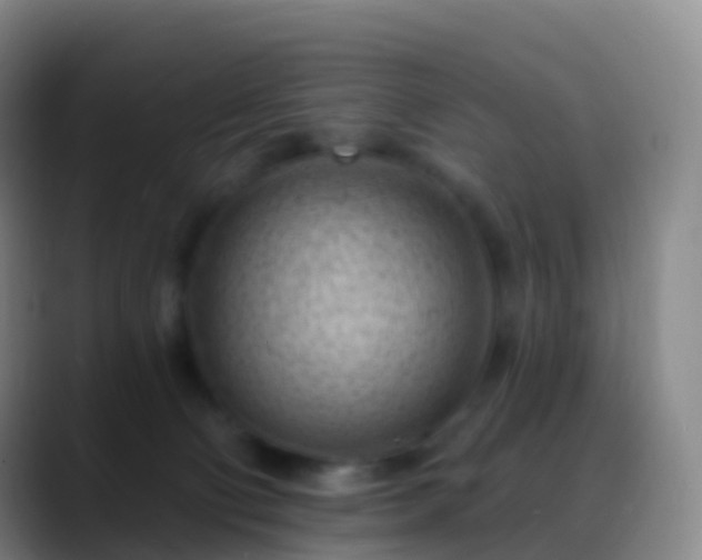 X0000088890130200706151836