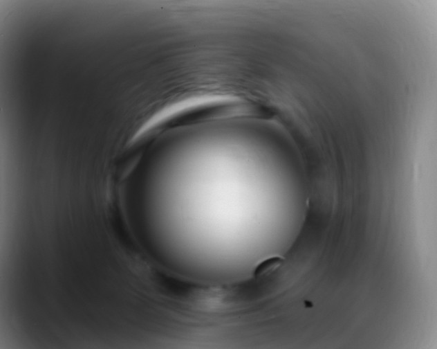 X0000088890131200706151836