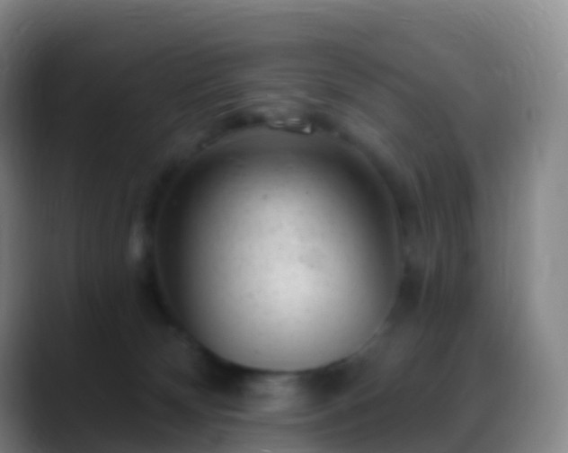 X0000088890132200706151836