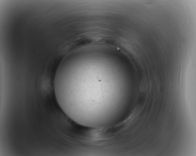 X0000088890136200706151836