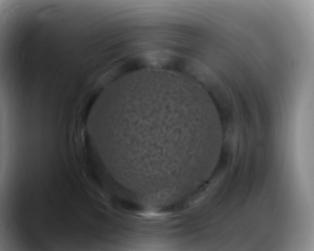 X0000088890137200706151836