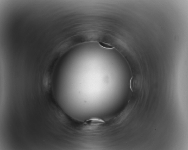 X0000088890138200706151836