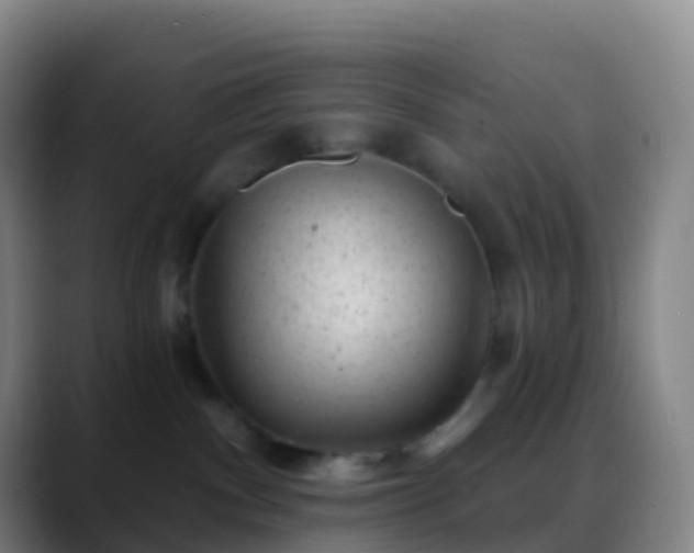 X0000088890140200706151836