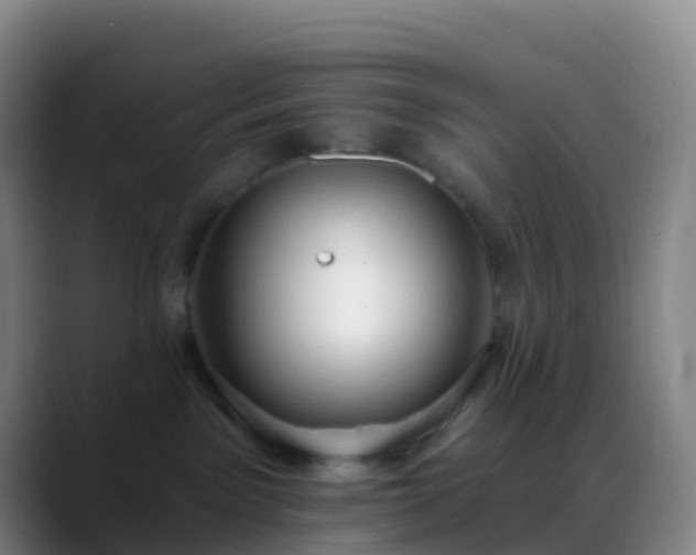 X0000088890141200706151836