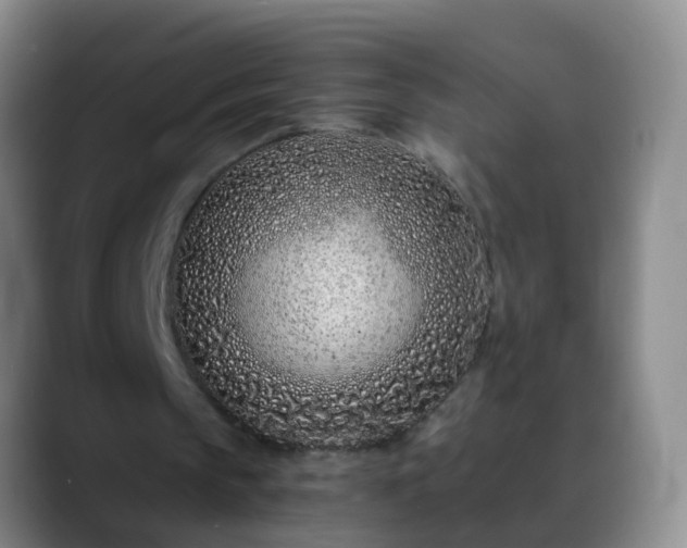 X0000088890145200706151836