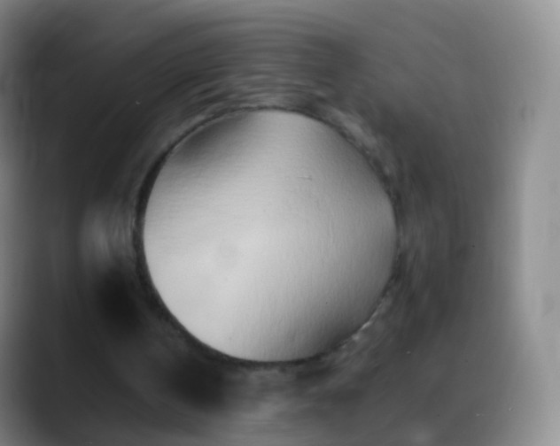 X0000088890146200706151836