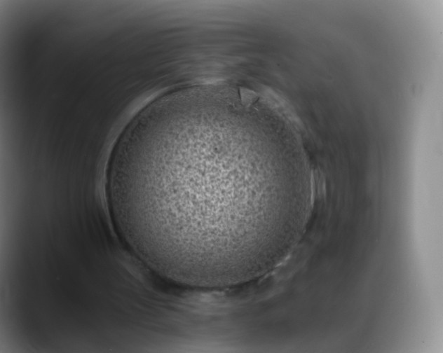 X0000088890147200706151836